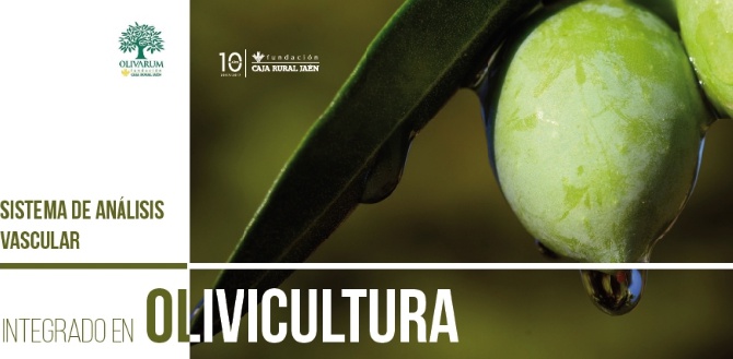 Presentación del Proyecto Sistema de Análisis Vascular Integrado en Olivicultura de la Fundación Caja Rural de Jaén